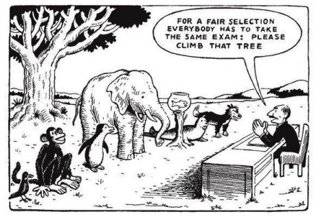 fair-selection-education